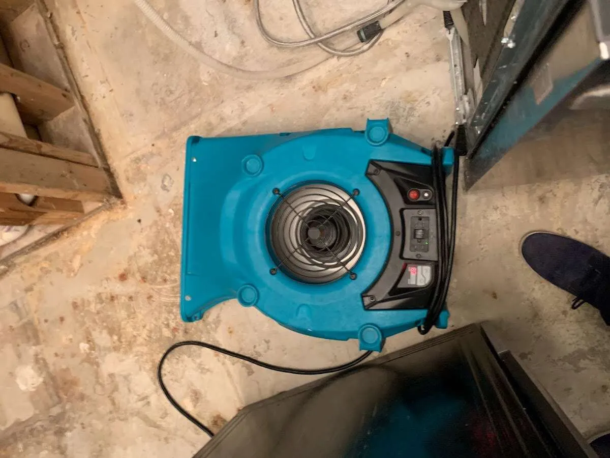 Air mover drying equipment for Mold Remediation & Removal in Medina